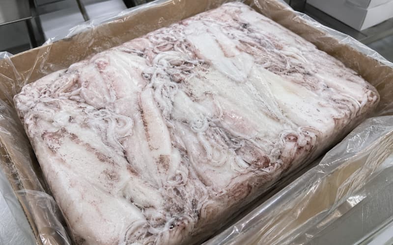block frozen squid industrial processing supplier