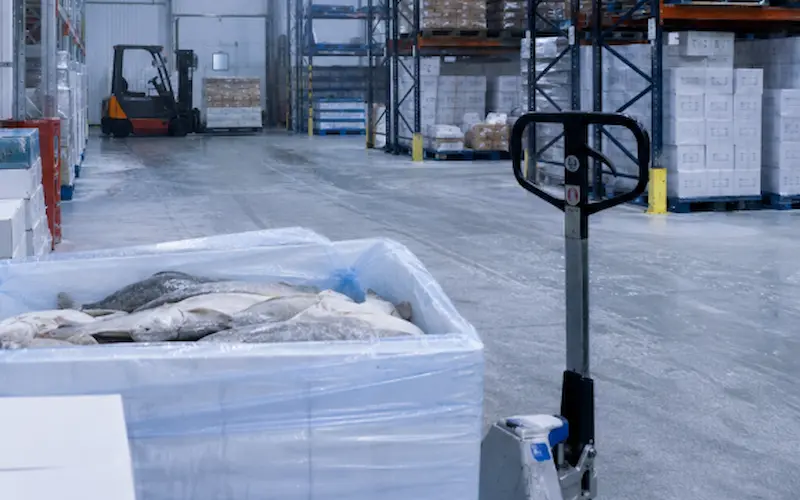 frozen squid cold chain reefer container shipping worldwide