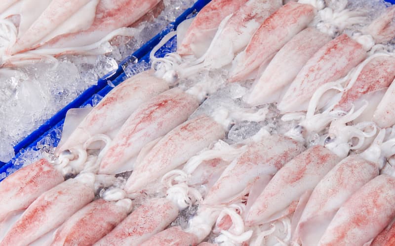 frozen squid glazing net weight yield specification