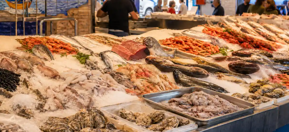 frozen squid europe importer supplier calamari