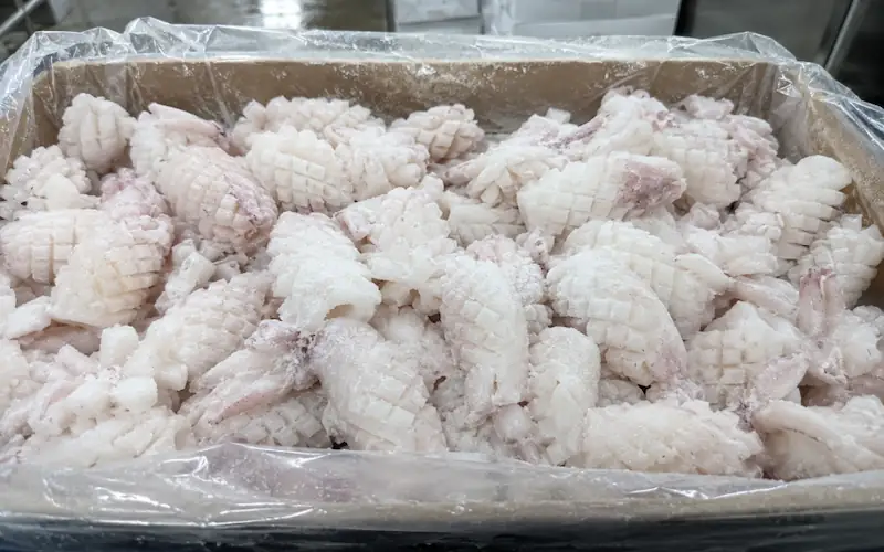 frozen flower cut squid scored pinecone cut