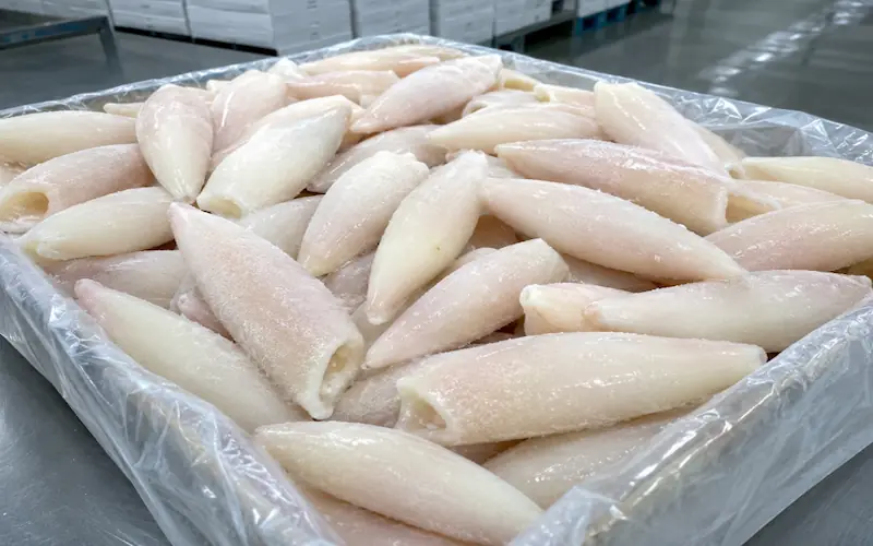 frozen squid tubes IQF calamari supplier
